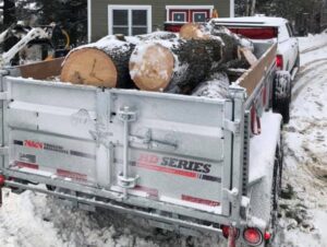 Hanet Tree Service photo 5