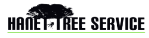Hanet Tree Service photo 4